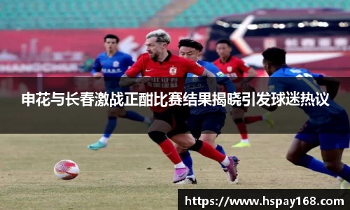 申花与长春激战正酣比赛结果揭晓引发球迷热议